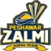 Peshawar Zalmi Logo